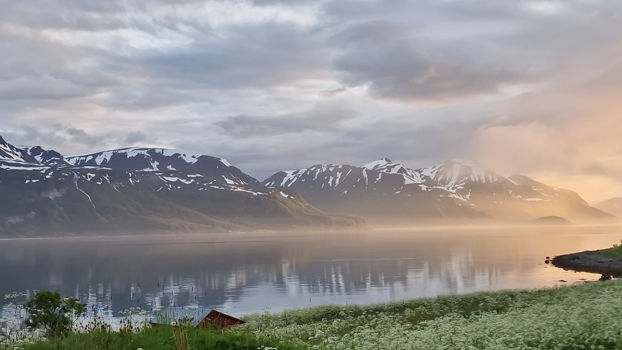 Arctic fjord at golden hour